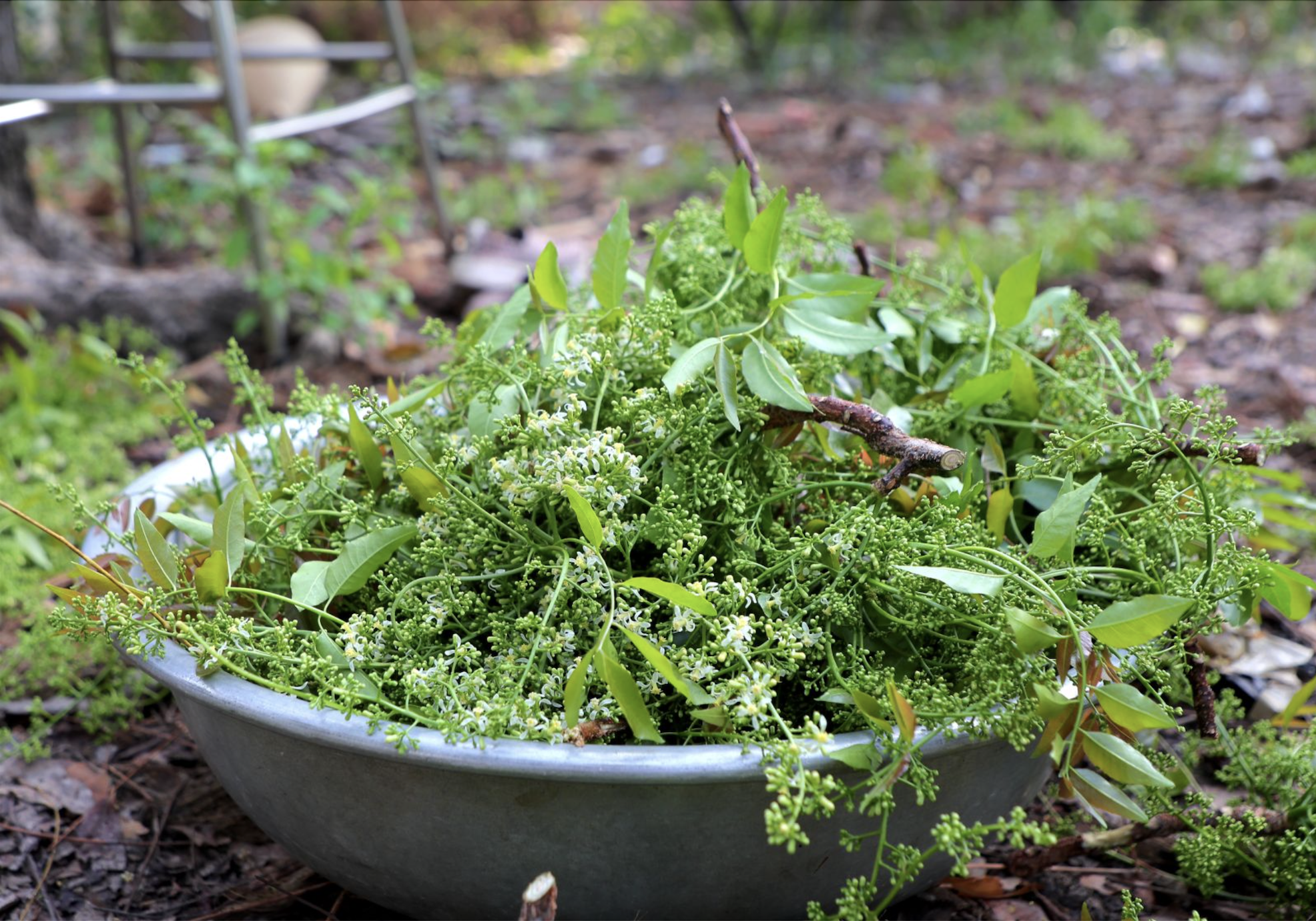 Món đặc sản Việt nghe tên thôi đã "rớt nước mắt"- Ảnh 2. Món đặc sản Việt nghe tên thôi đã "rớt nước mắt"- Ảnh 2.