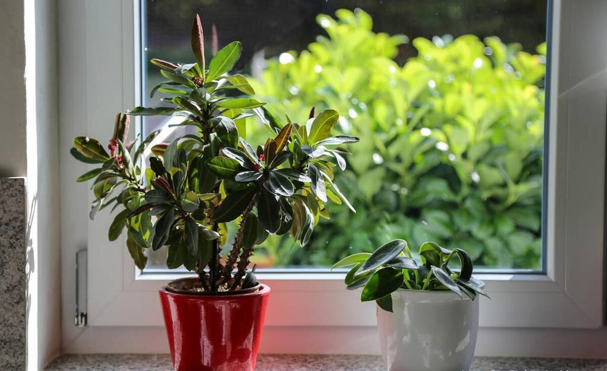 "Gió lùa mang xui xẻo, mất cả người lẫn của" - làm sai là tự khóa chặt đường tiền bạc của chính mình- Ảnh 4.