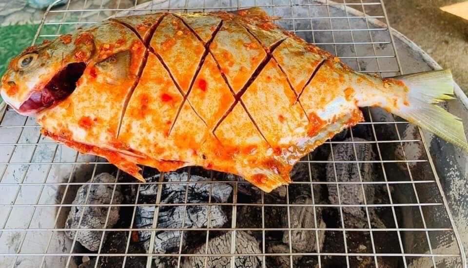 Loại cá "quý tộc” ngon nhất biển cả, giàu đạm gấp đôi trứng gà, ít chất béo xấu: Nấu cực đơn giản vẫn ngon tròn vị- Ảnh 2. Loại cá "quý tộc” ngon nhất biển cả, giàu đạm gấp đôi trứng gà, ít chất béo xấu: Nấu cực đơn giản vẫn ngon tròn vị- Ảnh 2.