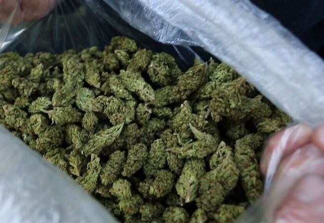 "Cô tiên thơm" ổ nhóm bán cần sa qua mạng lớn nhất từ trước tới nay bị bóc gỡ- Ảnh 1.