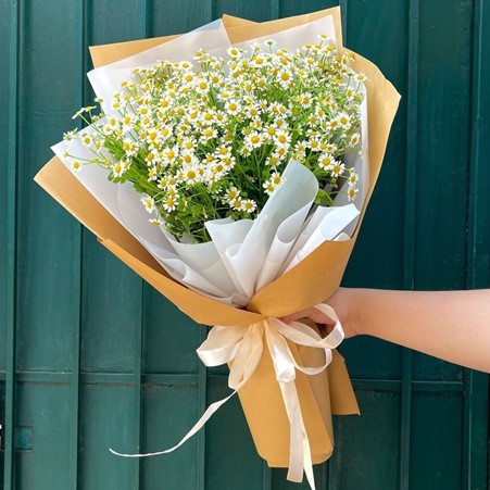 Những loài hoa ý nghĩa tặng thầy cô ngày Nhà giáo Việt Nam 20/11- Ảnh 6.