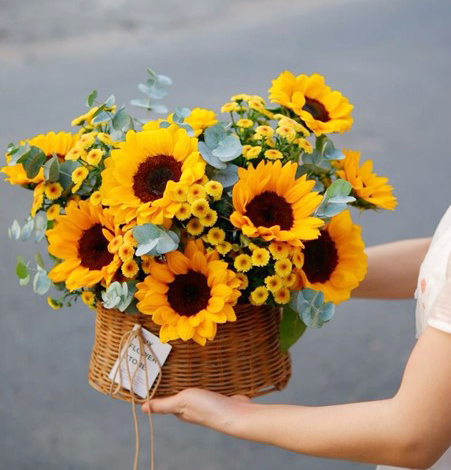 Những loài hoa ý nghĩa tặng thầy cô ngày Nhà giáo Việt Nam 20/11- Ảnh 1.