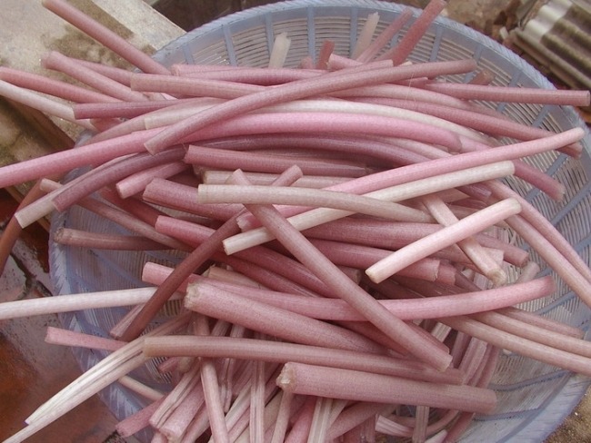 5 loại rau đặc sản miền Tây: Ăn 1 lần là nhớ mãi, đi chợ mà thấy phải MUA ngay- Ảnh 1.