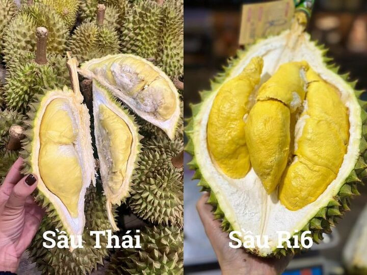 So sánh sầu Thái và sầu Ri6, loại nào ngọt và béo hơn?- Ảnh 1.