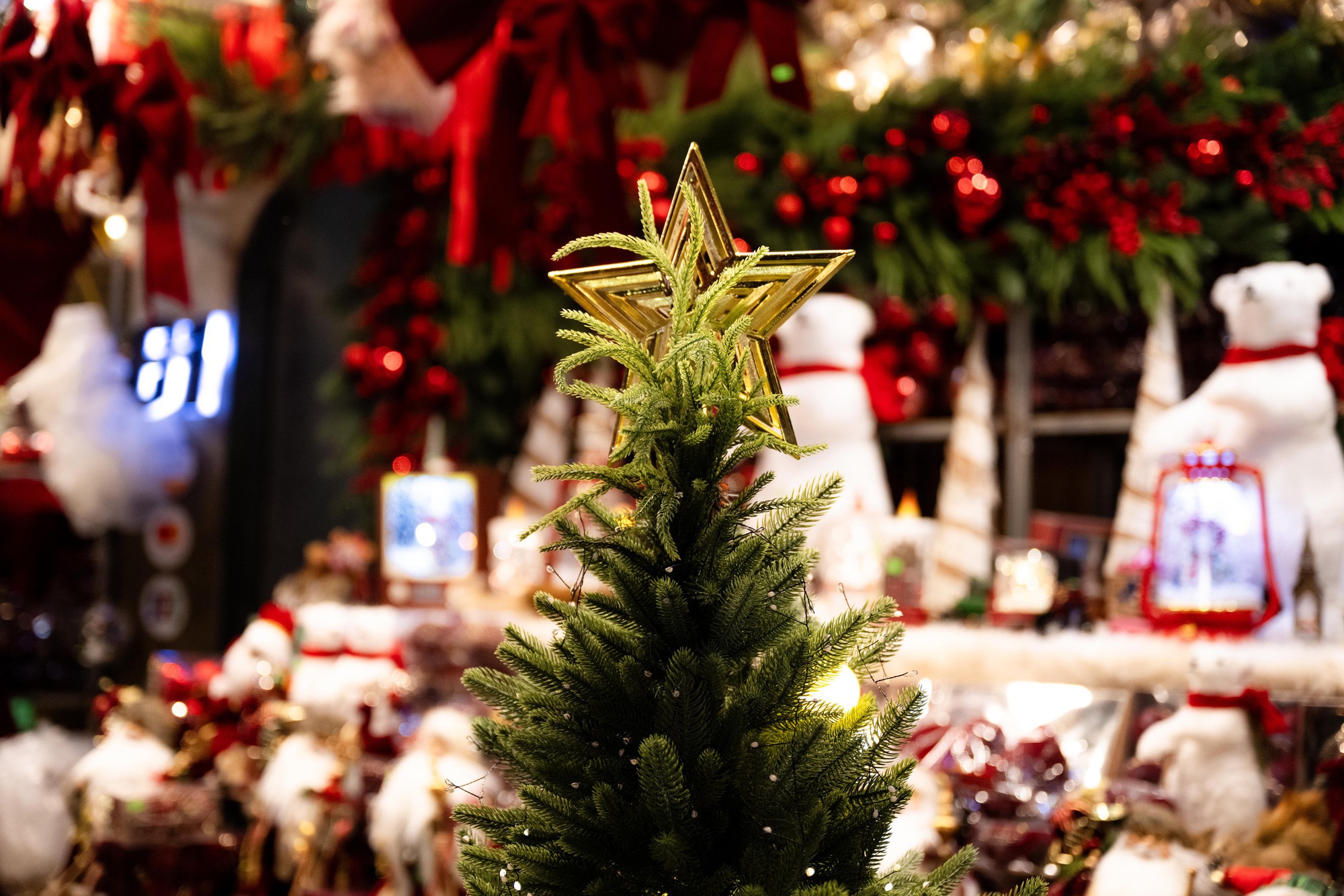 Clip: Giáng sinh Hàng Mã năm nay đỉnh thế!- Ảnh 14.