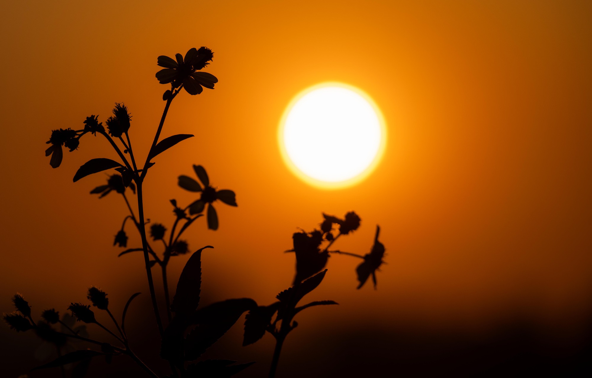 Clip: Cảnh tượng khó tin trên bầu trời Hà Nội chiều nay- Ảnh 16.