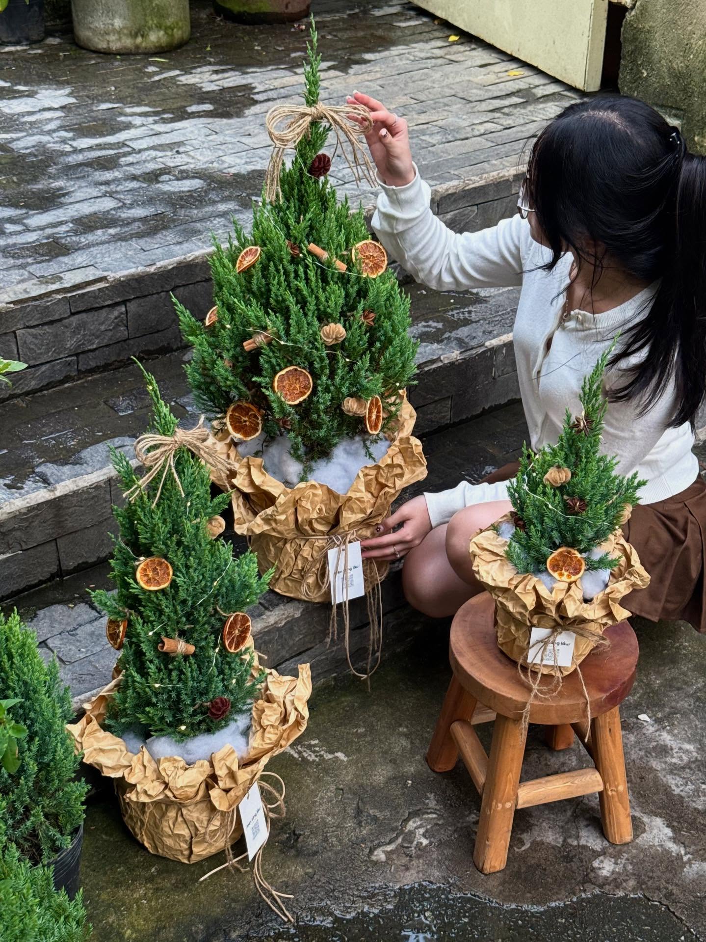 Sơn tùng giá rẻ bèo, được săn đón nhất dịp Giáng sinh- Ảnh 9.