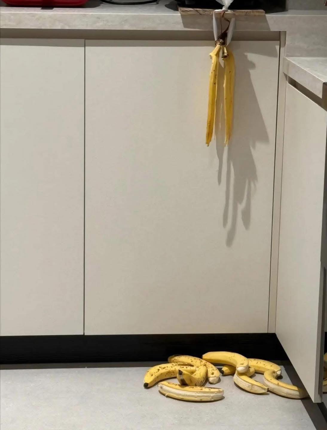 Nửa đêm thấy chồng lục đục trong bếp: Sáng dậy người vợ ''dở khóc dở cười'' trước cảnh này- Ảnh 1. Nửa đêm thấy chồng lục đục trong bếp: Sáng dậy người vợ ''dở khóc dở cười'' trước cảnh này- Ảnh 1.