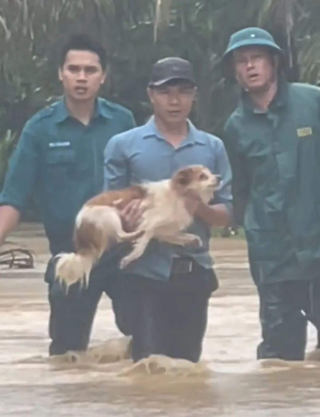 Khoảnh khắc giải cứu những chú cún giữa mưa lũ lịch sử ở miền Trung: Vì sinh mạng nào cũng quý giá- Ảnh 7.