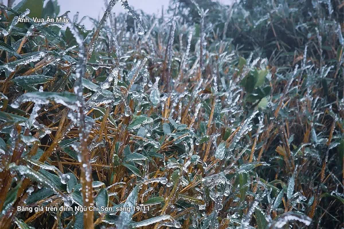 Miền Bắc đã xuất hiện băng giá sớm: Không phải ở Fansipan, đây cũng là điểm du lịch nổi tiếng Việt Nam- Ảnh 1. Miền Bắc đã xuất hiện băng giá sớm: Không phải ở Fansipan, đây cũng là điểm du lịch nổi tiếng Việt Nam- Ảnh 1.