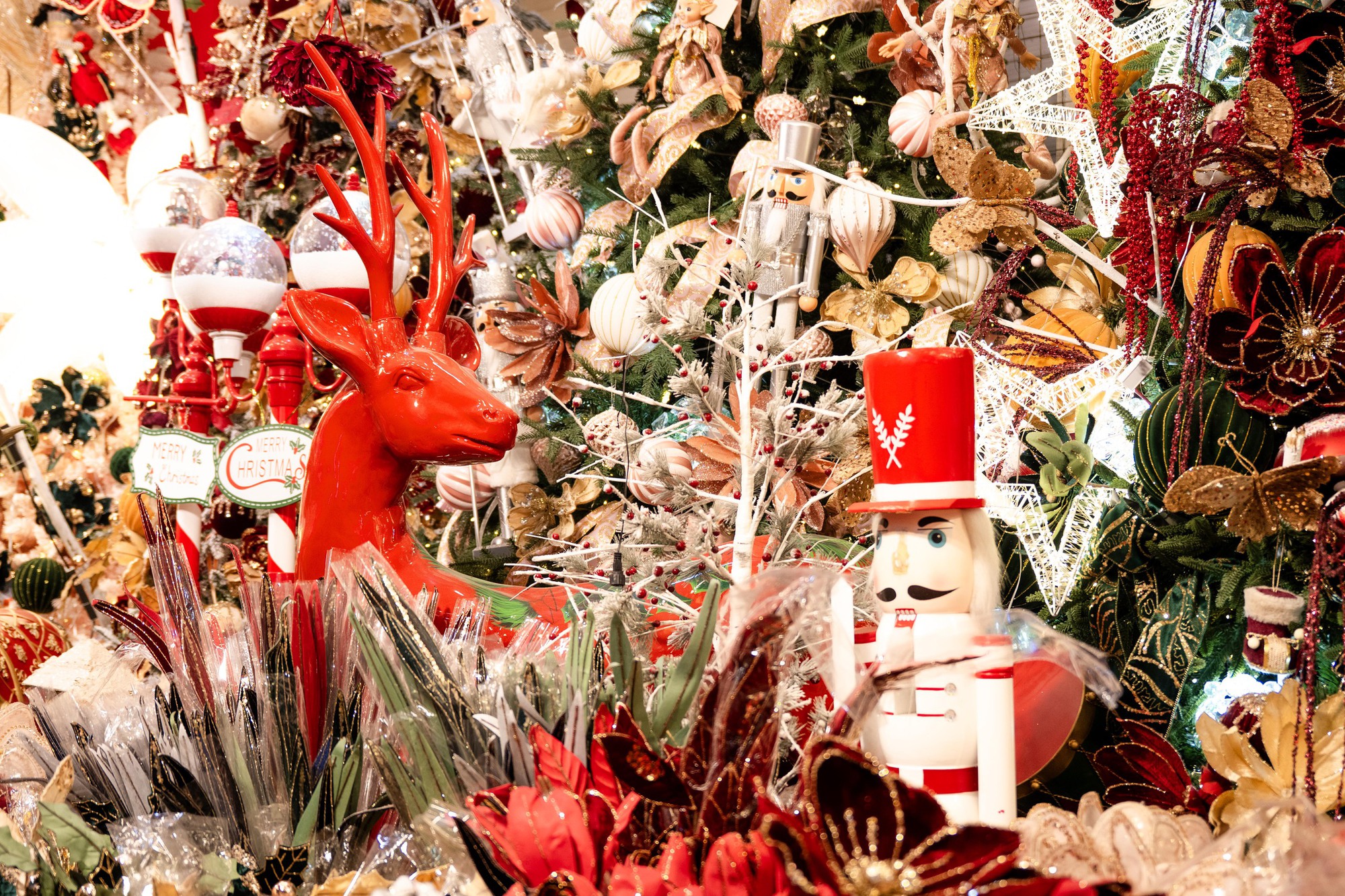 Clip: Giáng sinh Hàng Mã năm nay đỉnh thế!- Ảnh 6.