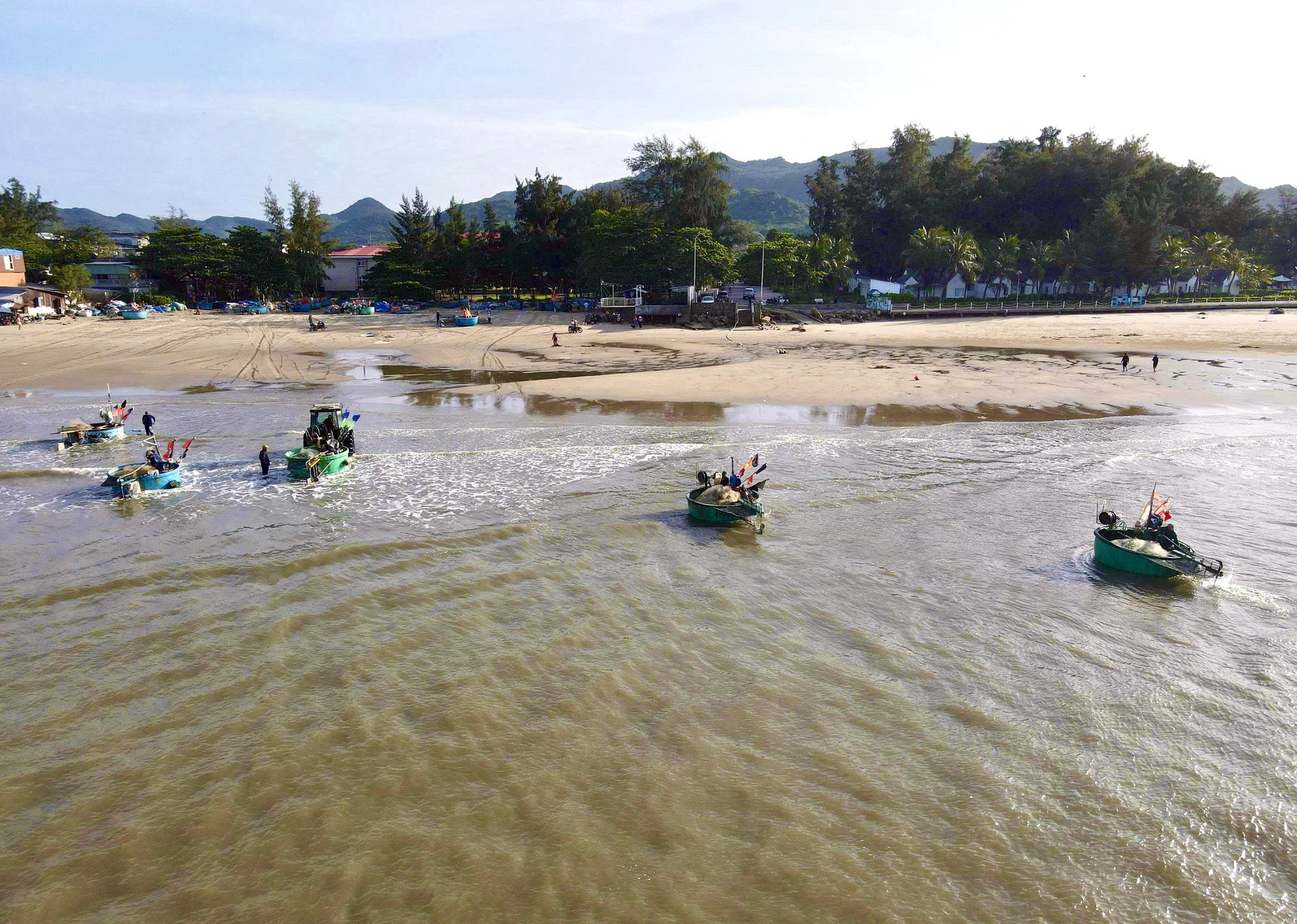 Hình ảnh ngư dân TP HCM trúng mùa cá mai "lộc trời"- Ảnh 2.