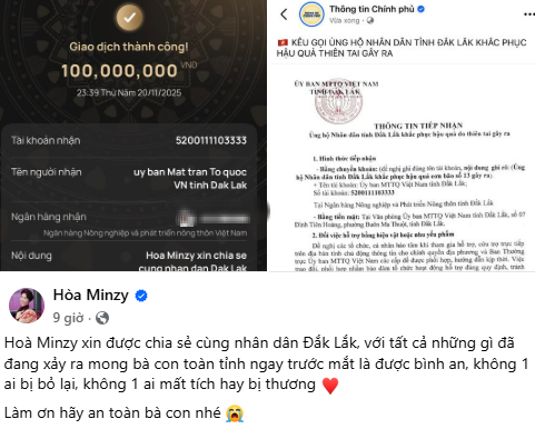 Trấn Thành - Hương Giang cùng dàn sao Việt đồng lòng hướng về người dân vùng lũ- Ảnh 1.