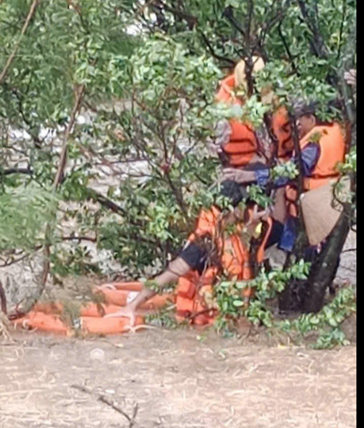 Cận cảnh giải cứu người dân mắc kẹt trên ngọn cây, mái nhà- Ảnh 1.