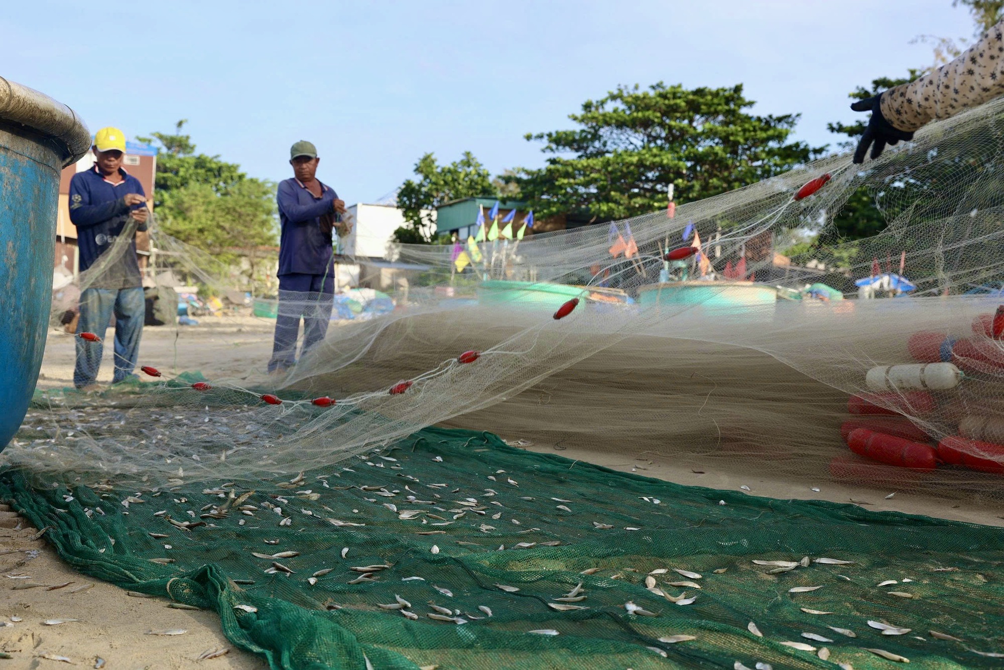 Hình ảnh ngư dân TP HCM trúng mùa cá mai "lộc trời"- Ảnh 4.