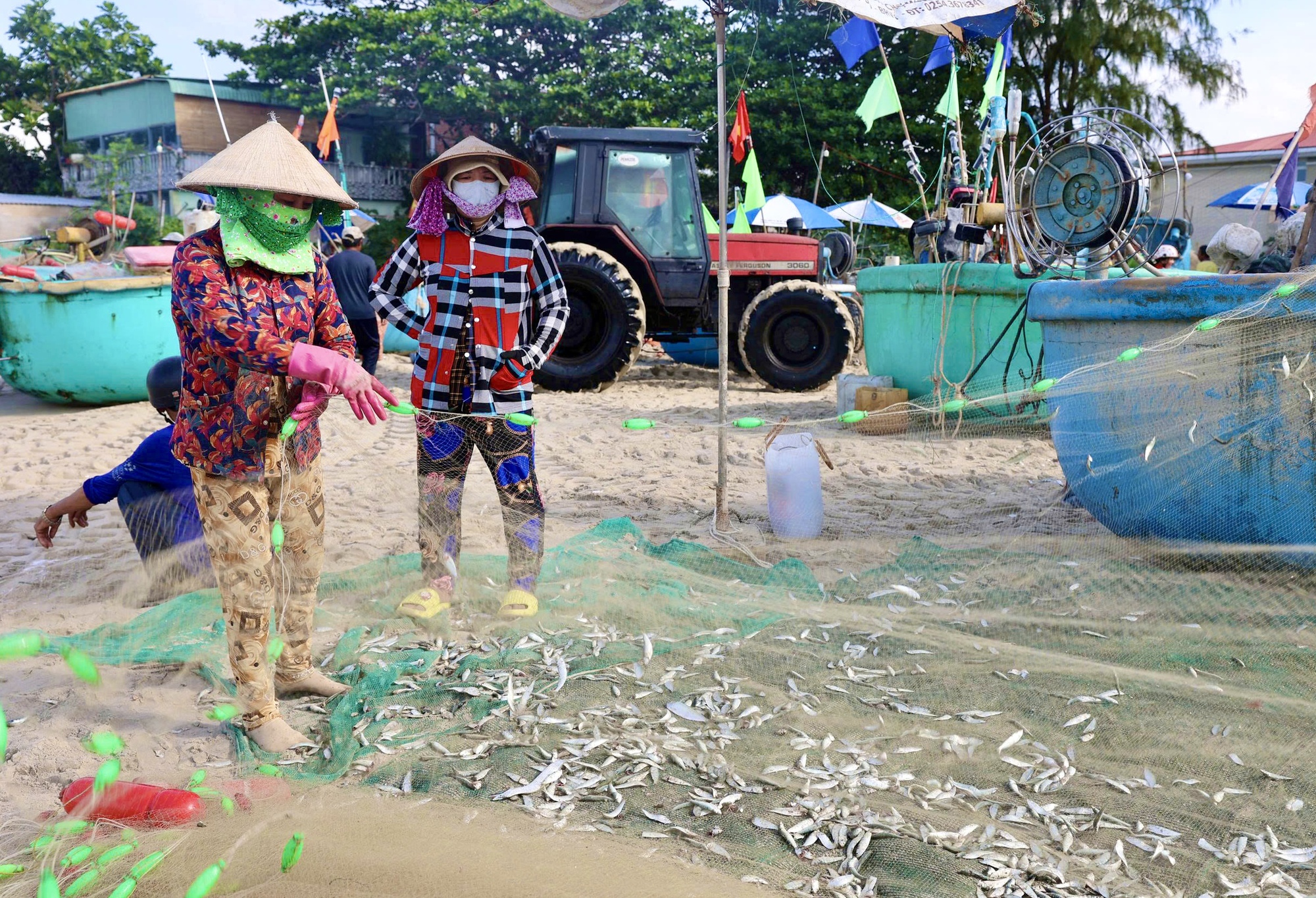 Hình ảnh ngư dân TP HCM trúng mùa cá mai "lộc trời"- Ảnh 1.