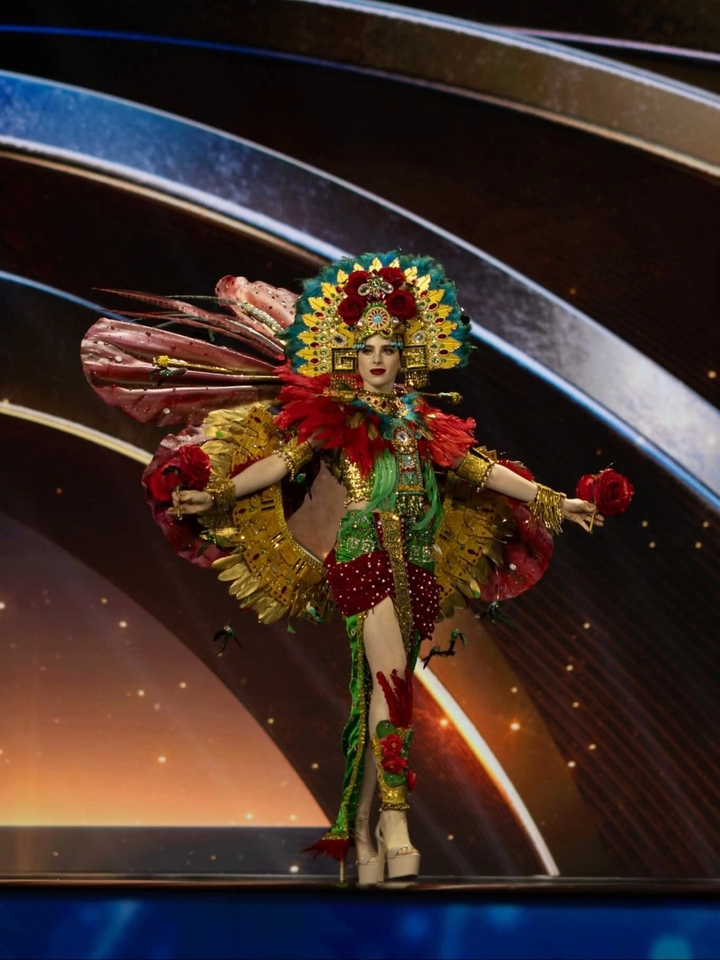 Sắc vóc quyến rũ của Tân Hoa hậu Hoàn vũ 2025- Ảnh 9.