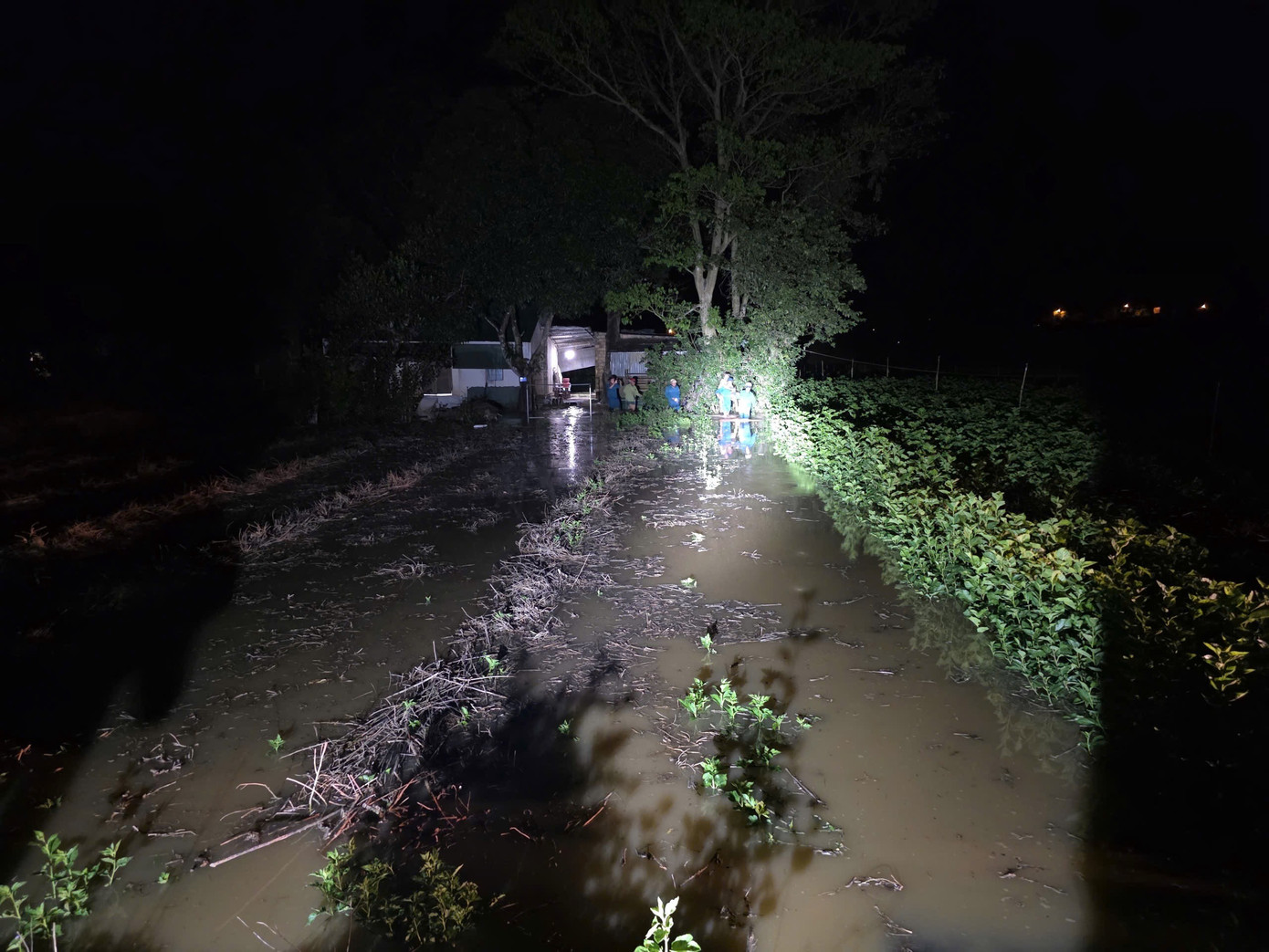 CLIP: Lâm Đồng di dời người dân cùng tài sản khỏi vùng ngập trong đêm- Ảnh 8.