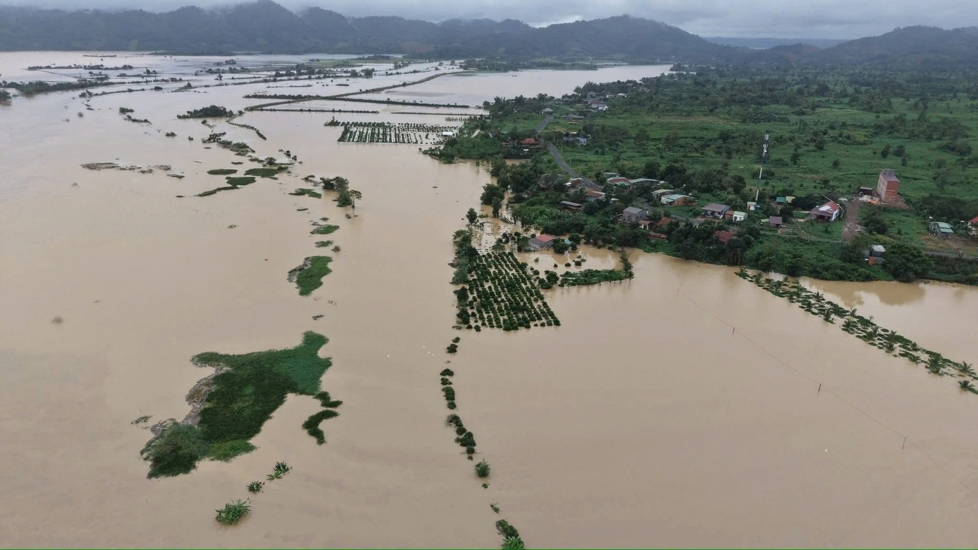 Mưa lũ chiều 21-11: Đắk Lắk c&ocirc;ng bố t&igrave;nh huống khẩn cấp tại 40 x&atilde;, phường- Ảnh 9.