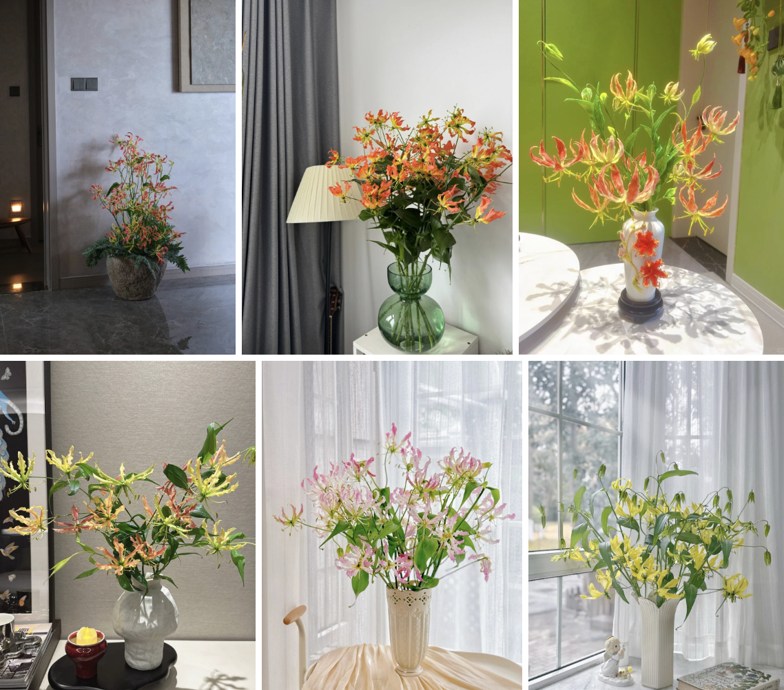 Hoa ngót nghẻo đẹp mê như bó lửa đỏ nhưng cực độc: Mẹ nào mê cắm Tết nhớ đọc kỹ trước khi mua- Ảnh 4.