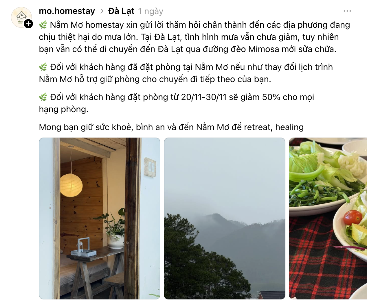 Du khách mắc kẹt tại Đà Lạt, các homestay chấp nhận hoàn cọc, hỗ trợ khẩn cấp- Ảnh 5.