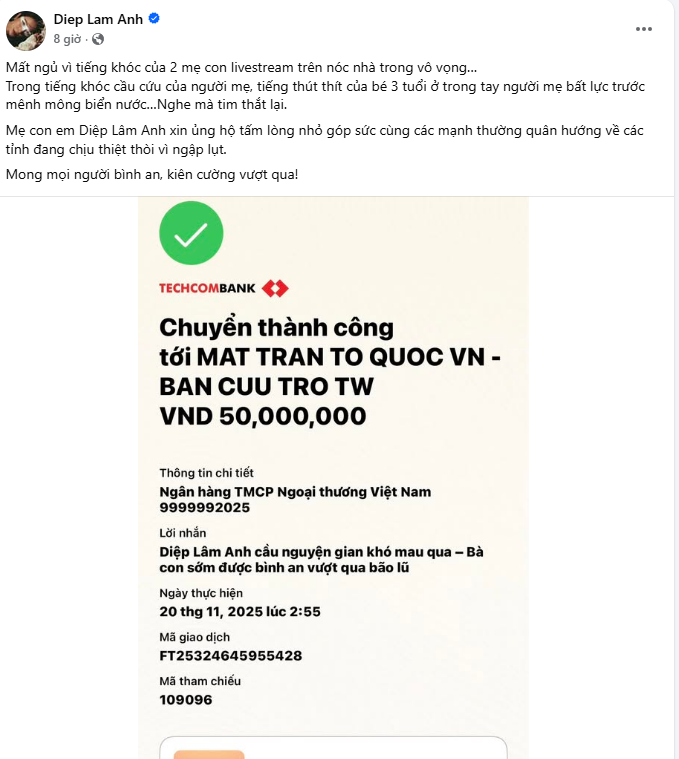 Trấn Thành - Hương Giang cùng dàn sao Việt đồng lòng hướng về người dân vùng lũ- Ảnh 7.