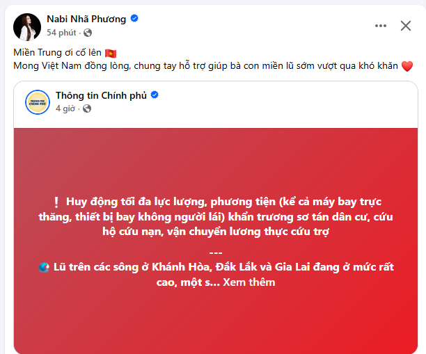 Trấn Thành - Hương Giang cùng dàn sao Việt đồng lòng hướng về người dân vùng lũ- Ảnh 9.