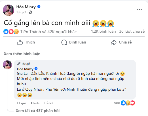 Trấn Thành - Hương Giang cùng dàn sao Việt đồng lòng hướng về người dân vùng lũ- Ảnh 10.