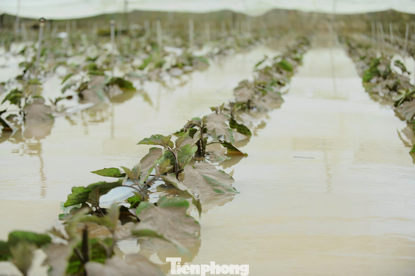 Xót xa cảnh tan hoang sau mưa lũ ở Lâm Đồng, nhiều hộ chỉ còn trơ lại nền nhà- Ảnh 12.