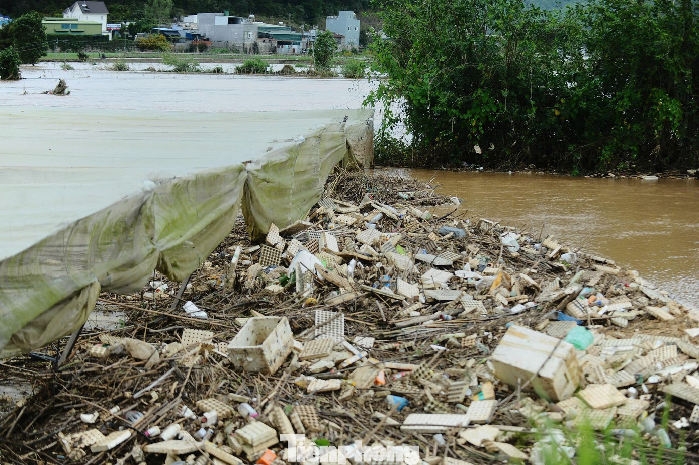 Xót xa cảnh tan hoang sau mưa lũ ở Lâm Đồng, nhiều hộ chỉ còn trơ lại nền nhà- Ảnh 11.