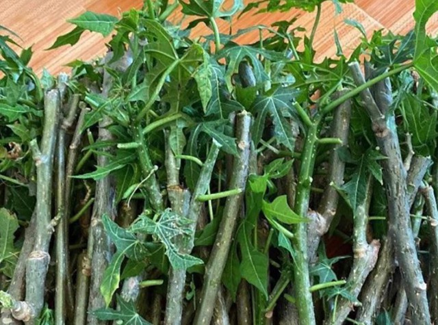 Cây rau nghe tên đã ngọt, trở thành món ăn lạ miệng được nhiều người ưa chuộng- Ảnh 5.