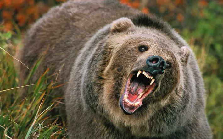 (Ảnh: Getty Images)