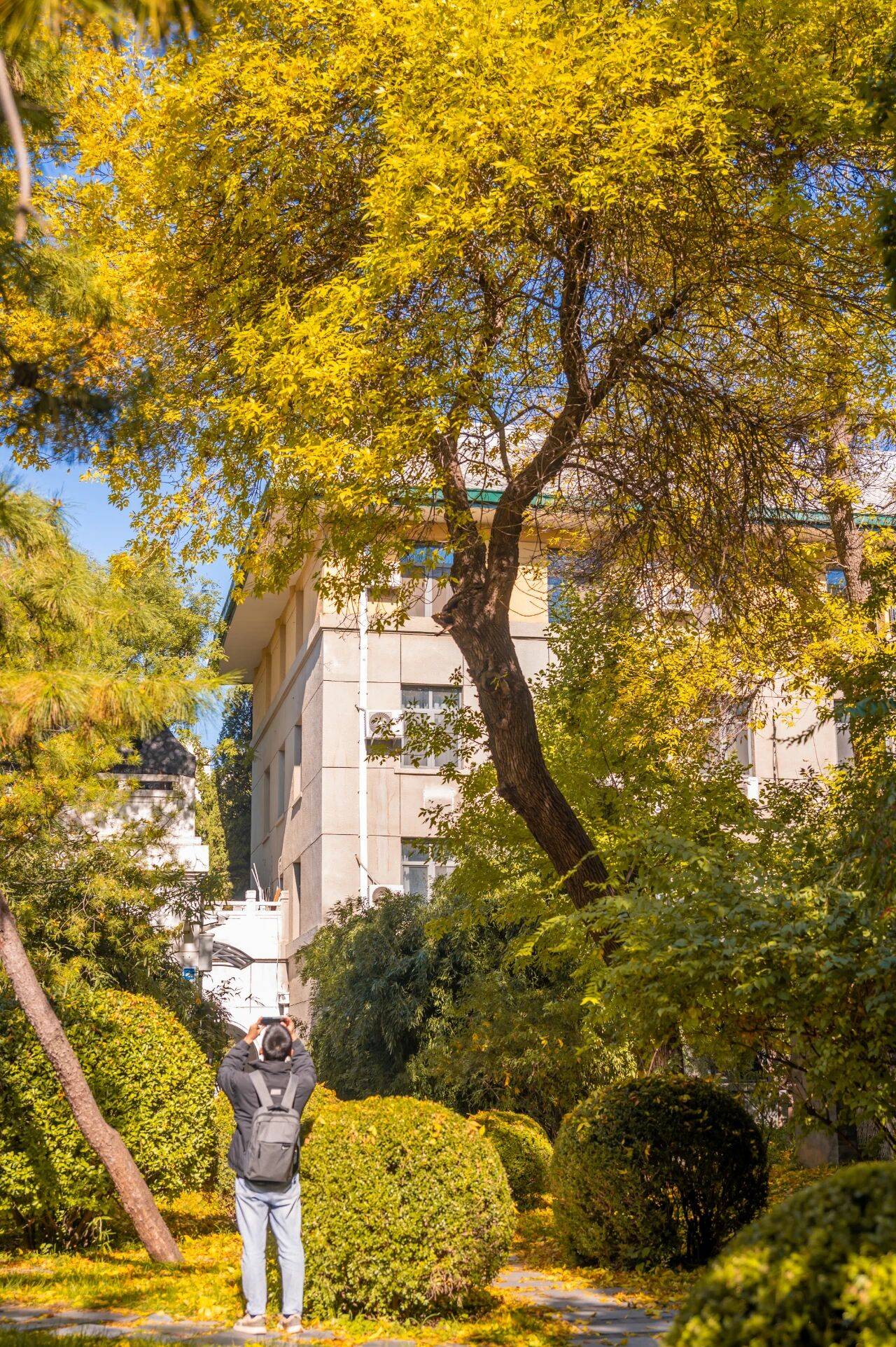 Có một ĐH được mệnh danh là "trường của những người nói tất cả thứ tiếng trên thế giới", khuôn viên mùa thu đẹp hơn phim- Ảnh 13.