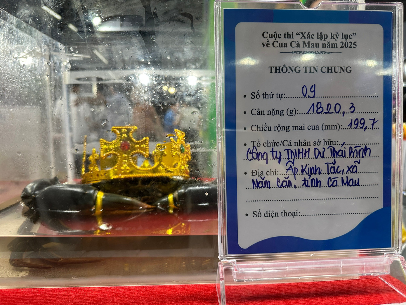 'Tân vương' cua Cà Mau nặng hơn 1,8kg- Ảnh 1.