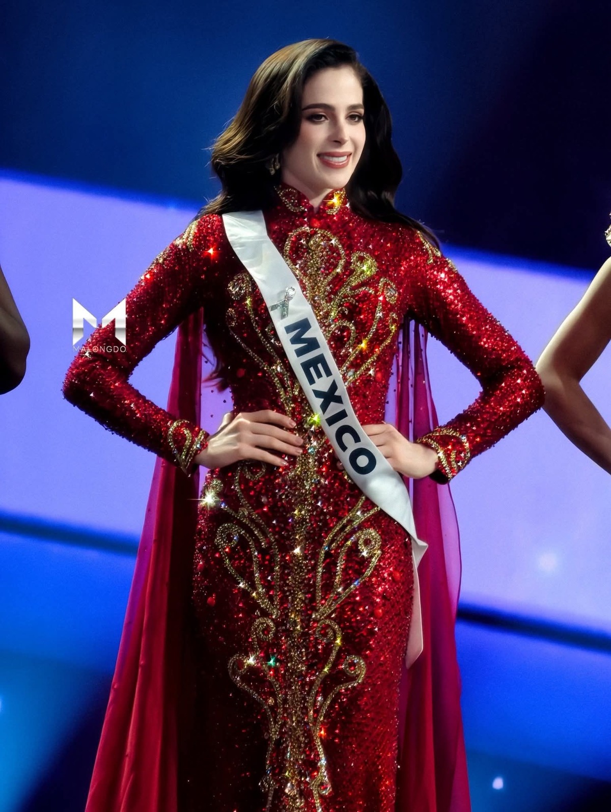 Chủ tịch Miss Universe Vietnam 