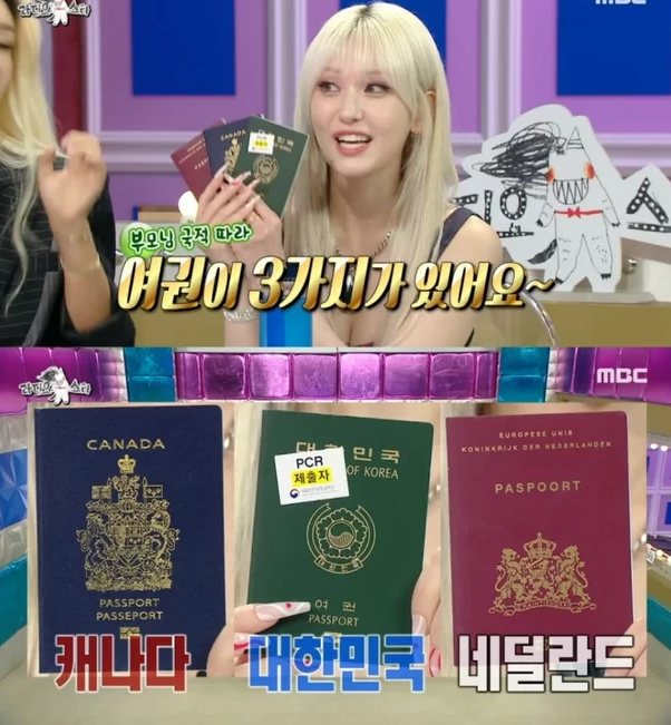 Lộ diện nữ idol được phép sở hữu 3 cuốn hộ chiếu quyền lực nhất thế giới- Ảnh 1.