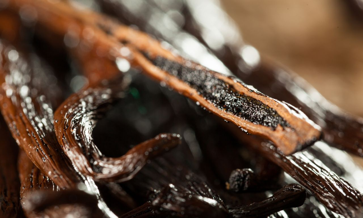 Cây “vô danh” bất ngờ thành đặc sản giá 15 triệu đồng/kg, Việt Nam cũng đã trồng thành công- Ảnh 4.