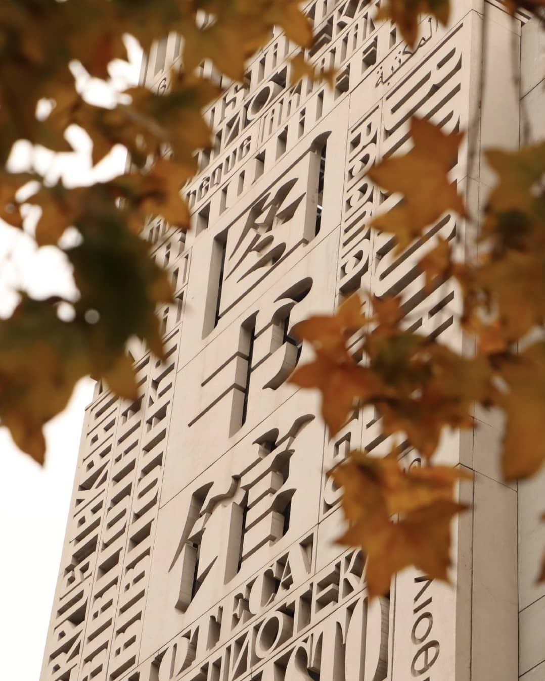 Có một ĐH được mệnh danh là "trường của những người nói tất cả thứ tiếng trên thế giới", khuôn viên mùa thu đẹp hơn phim- Ảnh 7.