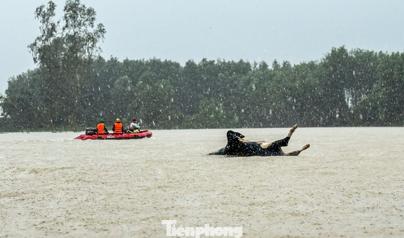 Khung cảnh tan hoang ‘rốn lũ’ Hòa Thịnh- Ảnh 6.