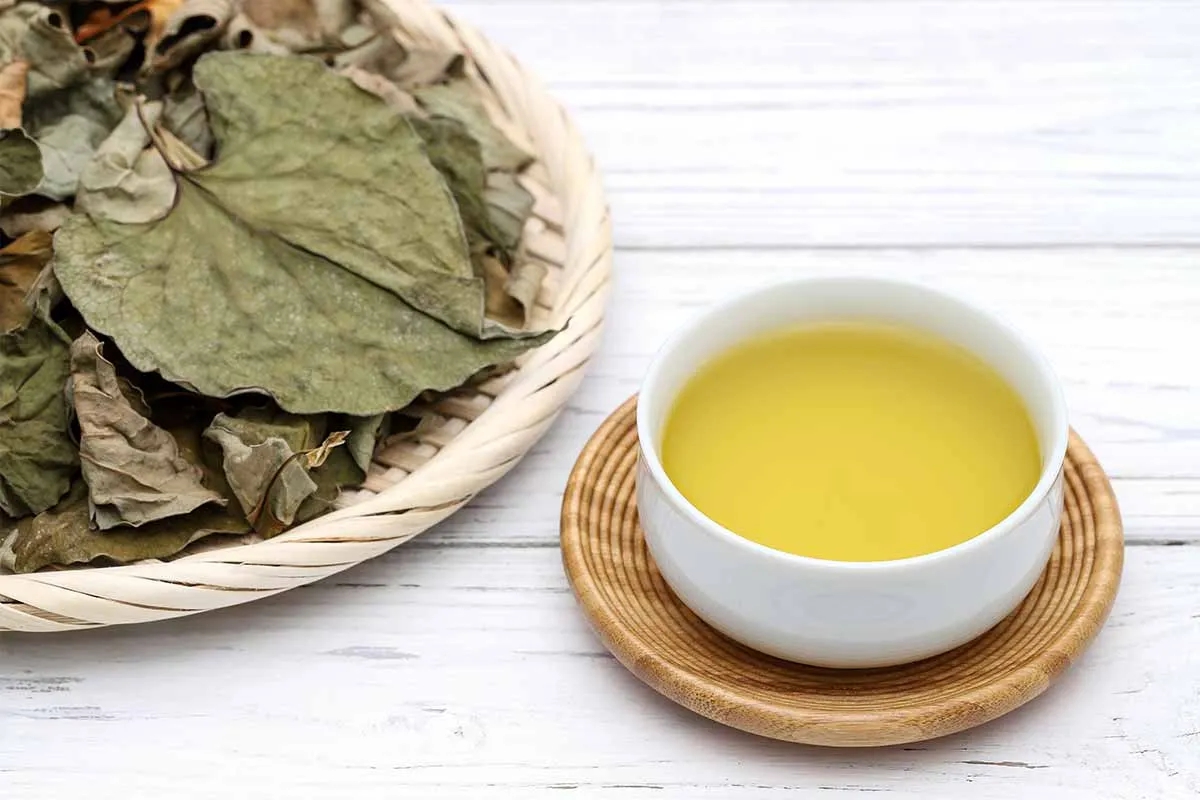 Loại rau người Trung Quốc ví là "rau thần": Mọc đầy Việt Nam nhưng nhiều người sợ không ăn- Ảnh 2.