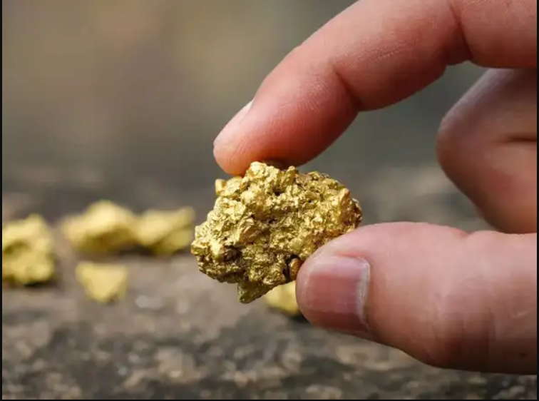 Phát hiện 150 tấn vàng trị giá hơn 120.000 tỷ đồng, cảnh sát lập tức phong tỏa khu vườn của một nông dân- Ảnh 3.