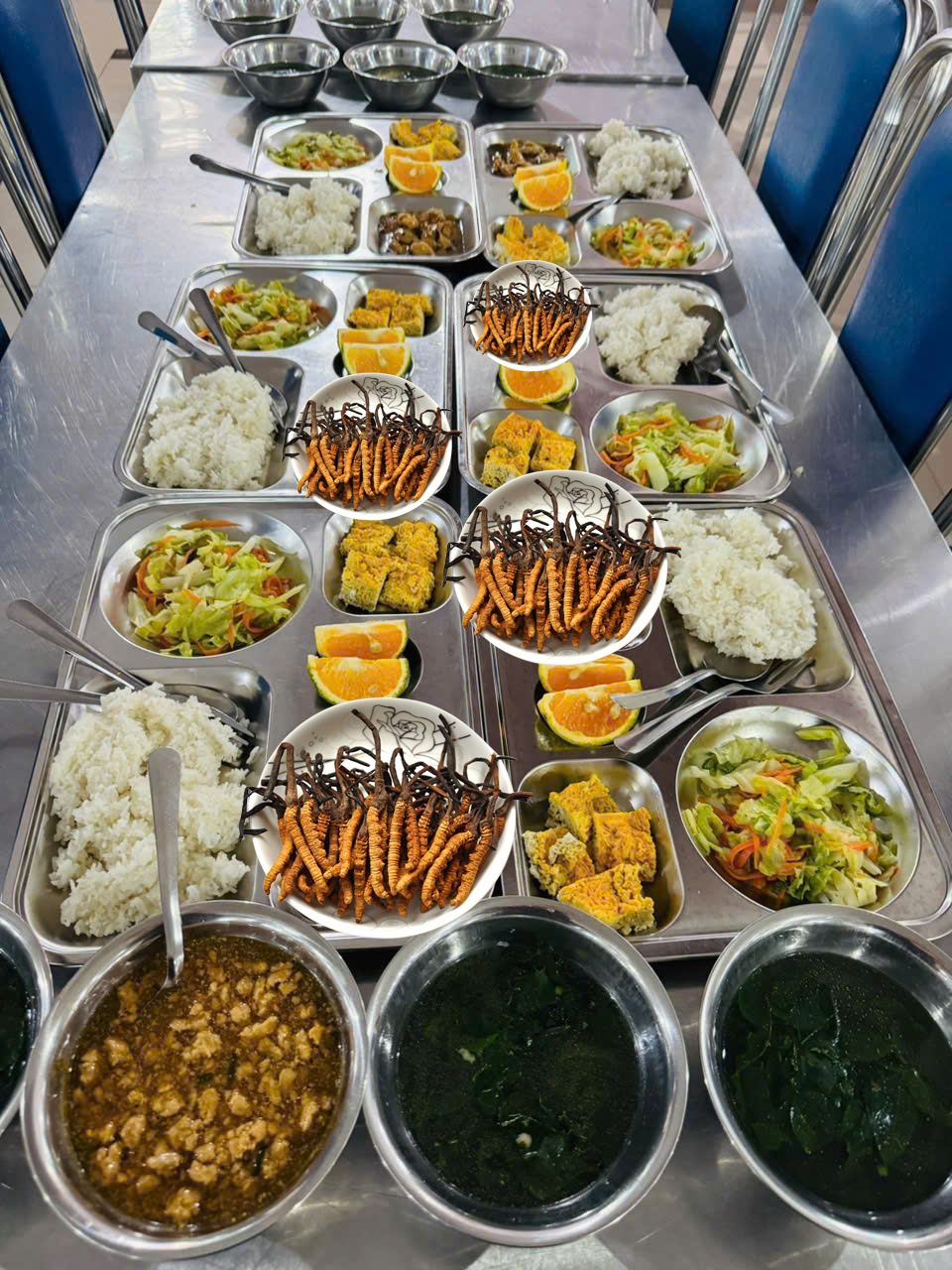 Xuất hiện bữa ăn toàn đông trùng hạ thảo xa xỉ gây sốt ở 1 trường học Hà Nội: Thực hư ra sao?- Ảnh 1. Xuất hiện bữa ăn toàn đông trùng hạ thảo xa xỉ gây sốt ở 1 trường học Hà Nội: Thực hư ra sao?- Ảnh 1.