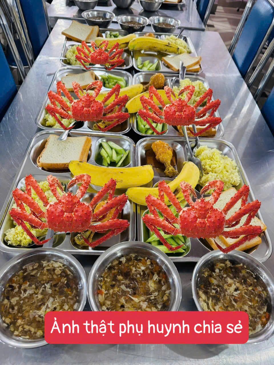 Xuất hiện bữa ăn toàn đông trùng hạ thảo xa xỉ gây sốt ở 1 trường học Hà Nội: Thực hư ra sao?- Ảnh 3. Xuất hiện bữa ăn toàn đông trùng hạ thảo xa xỉ gây sốt ở 1 trường học Hà Nội: Thực hư ra sao?- Ảnh 3.