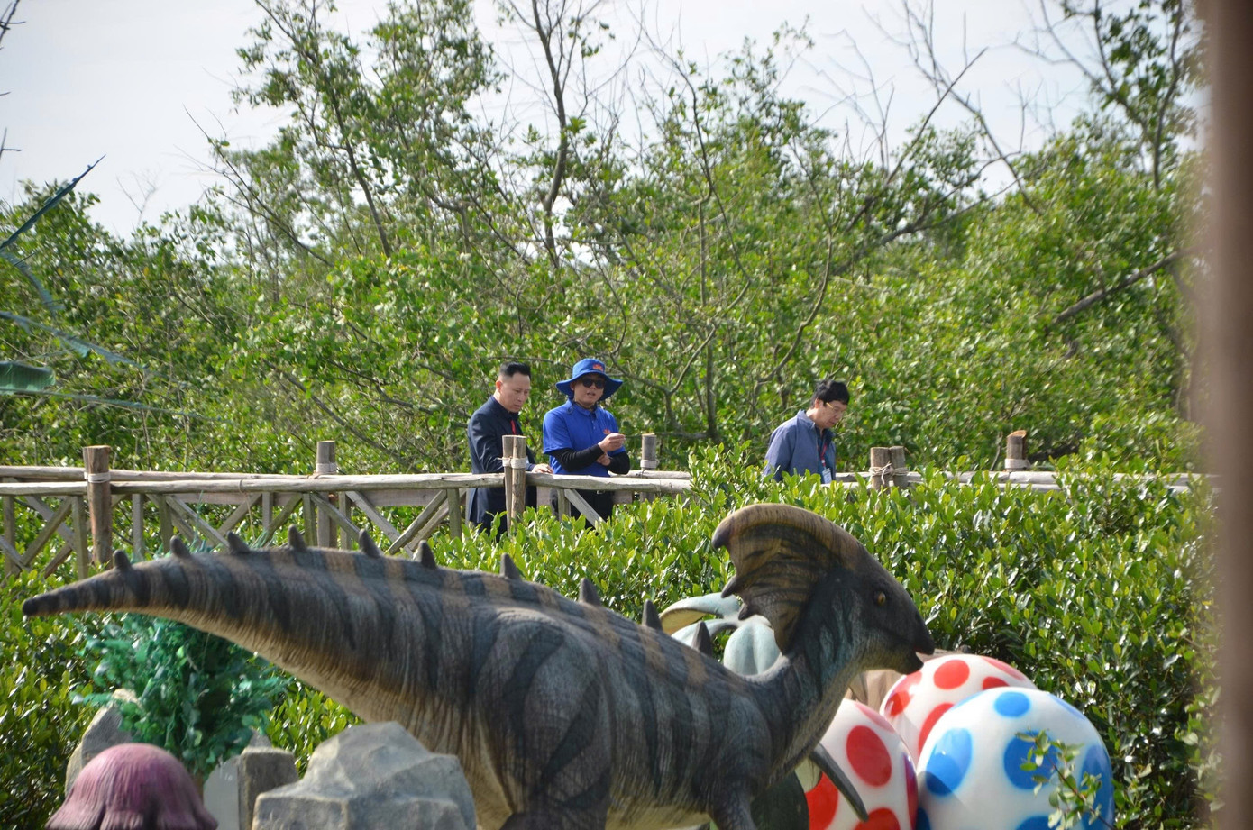 Du khách thích thú trải nghiệm rừng ngập mặn ở Đồ Sơn- Ảnh 14.