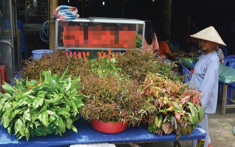 Loại lá dân dã bị quên lãng, nay khiến thực khách săn lùng vì vị ngon "lạ thường"- Ảnh 4.