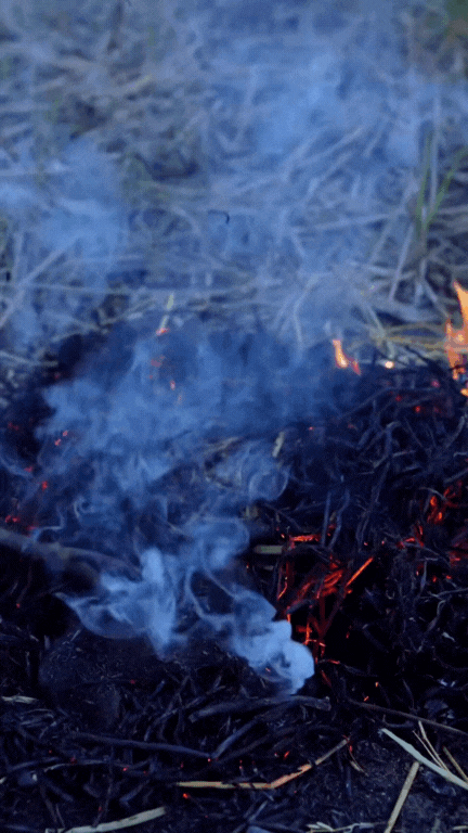 Thịt chuột đồng - món Thịt chuột đồng - món