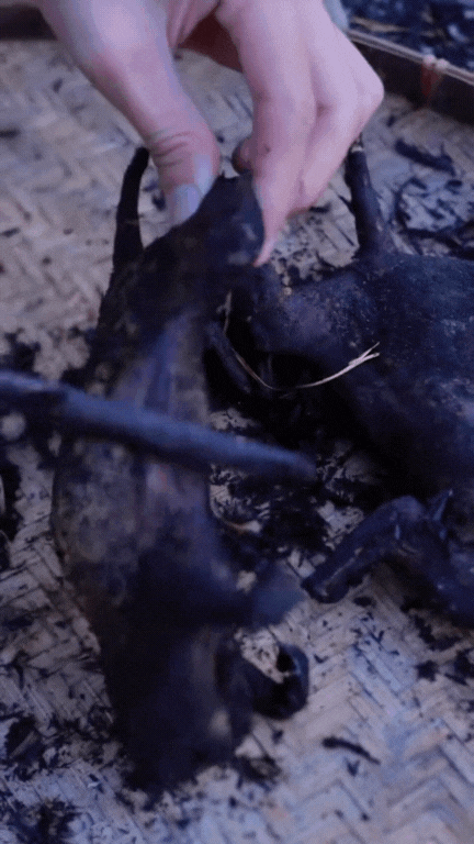 Thịt chuột đồng - món Thịt chuột đồng - món