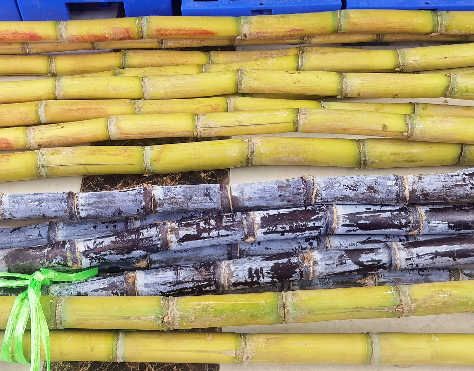 Mua trái cây mùa này, người khôn ngoan đều chọn 5 loại ngon bổ rẻ- Ảnh 3. Mua trái cây mùa này, người khôn ngoan đều chọn 5 loại ngon bổ rẻ- Ảnh 3.