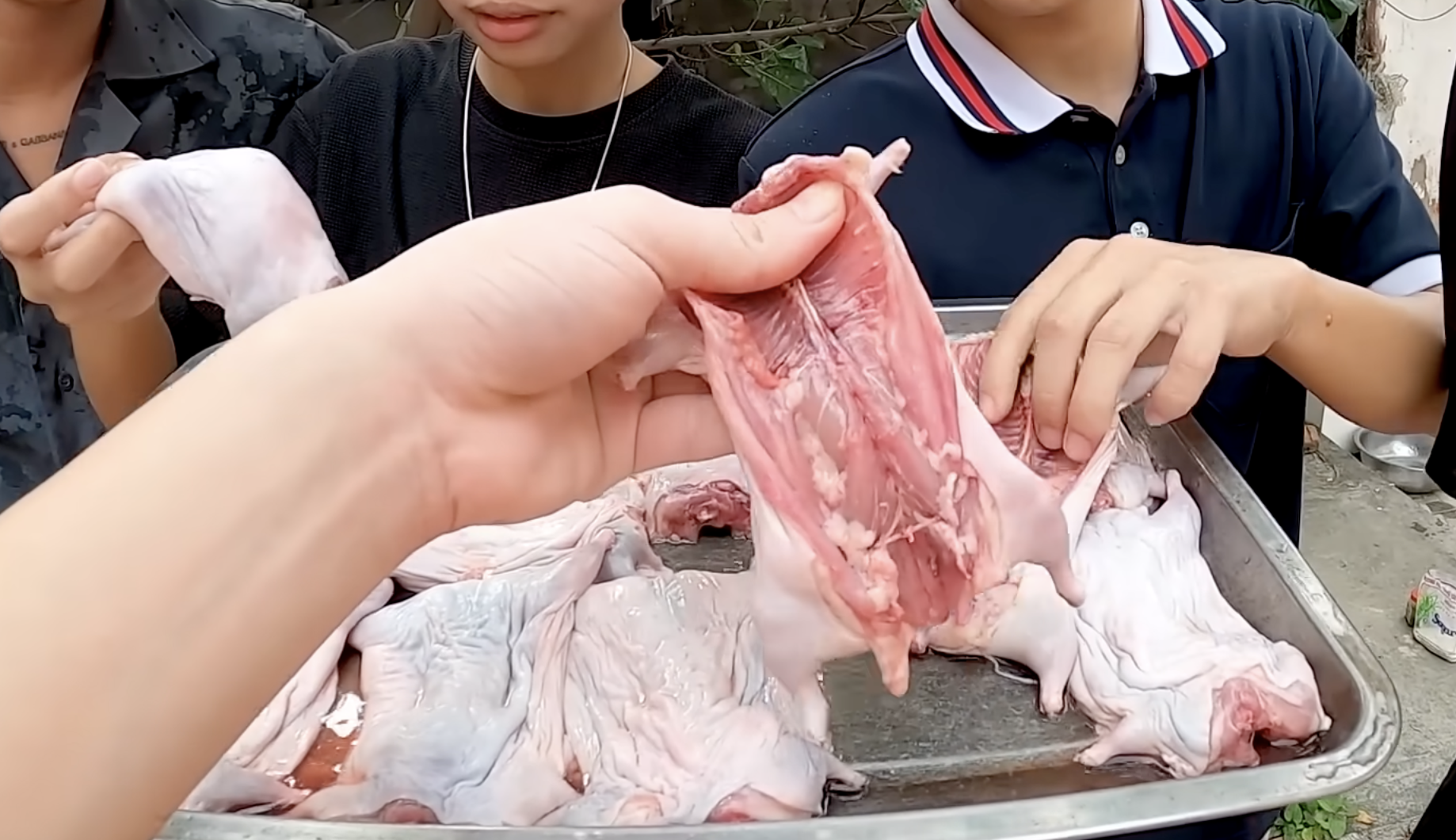 Thịt chuột đồng - món Thịt chuột đồng - món