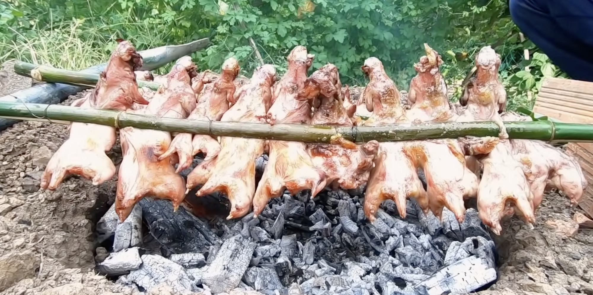 Thịt chuột đồng - món Thịt chuột đồng - món